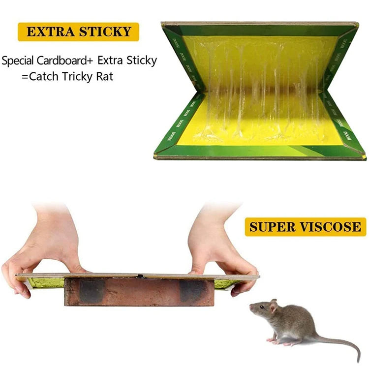 Concealed Sticky Mouse Board