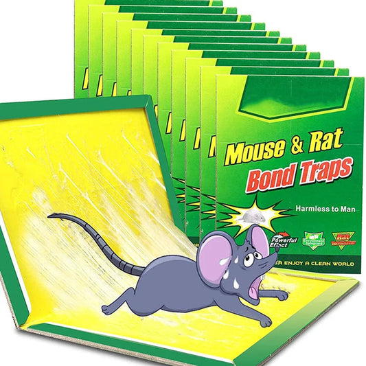 Concealed Sticky Mouse Board