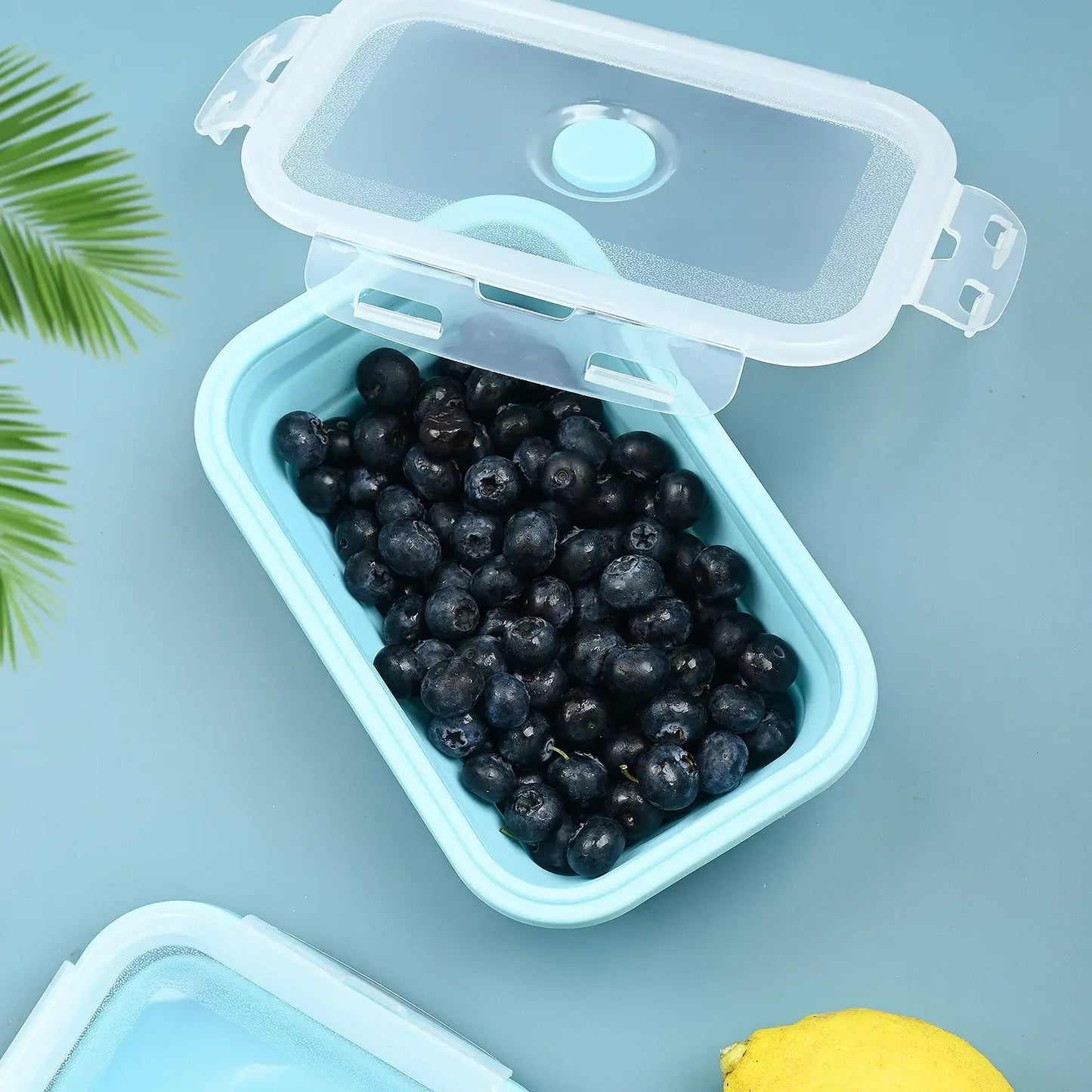 Collapsible Silicone Lunch Box With Plastic Lid